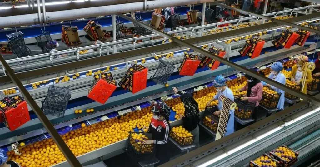 Tarım ve Gıda Sektöründen Son Dakika Haberleri Özeti