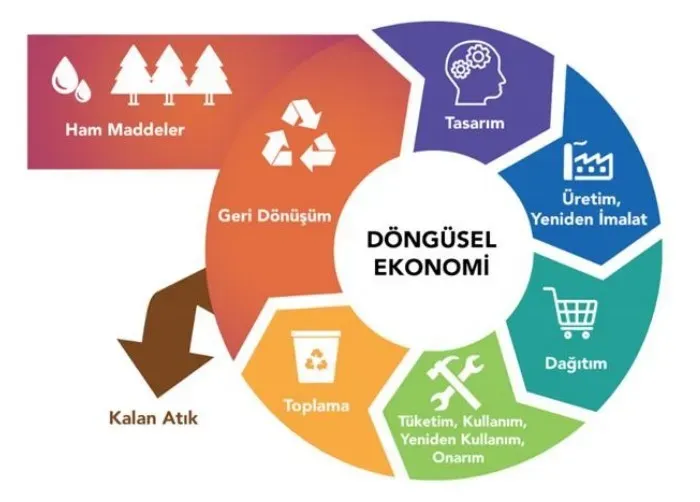 Döngüsel ekonomi nedir ve neden iş dünyasında önemlidir
